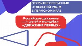 Мясников А_М_ Открытие первичных отделений РДДМ Движение Первых Пермский край-001